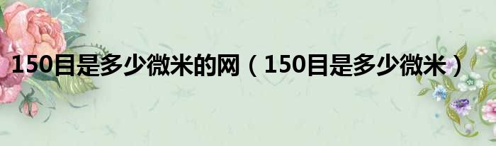 150目是多少微米的网（150目是多少微米）