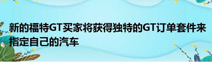 新的福特GT买家将获得独特的GT订单套件来指定自己的汽车