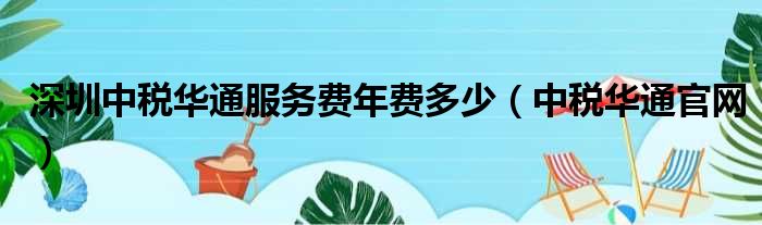 深圳中税华通服务费年费多少（中税华通官网）