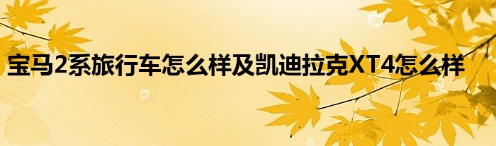 宝马2系旅行车怎么样及凯迪拉克XT4怎么样