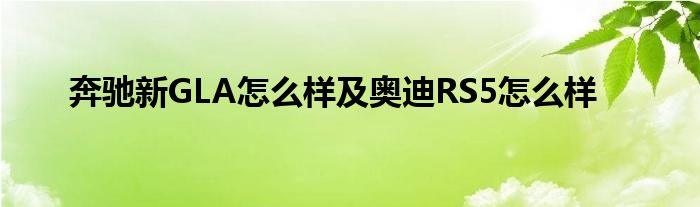 奔驰新GLA怎么样及奥迪RS5怎么样