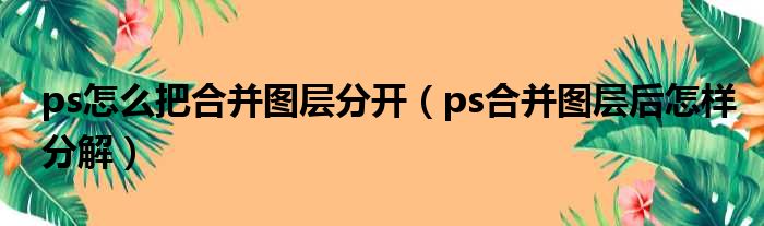 ps怎么把合并图层分开（ps合并图层后怎样分解）