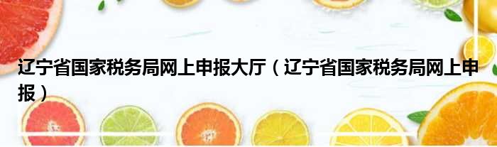 辽宁省国家税务局网上申报大厅（辽宁省国家税务局网上申报）