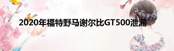 2020年福特野马谢尔比GT500泄漏