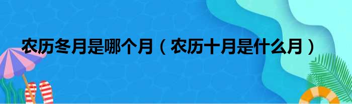 农历冬月是哪个月（农历十月是什么月）