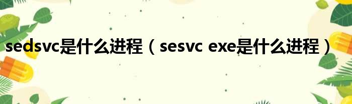 sedsvc是什么进程（sesvc exe是什么进程）