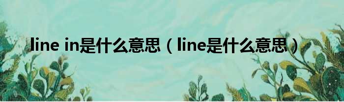 line in是什么意思（line是什么意思）