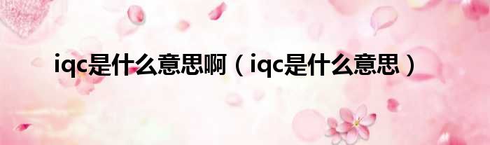 iqc是什么意思啊（iqc是什么意思）