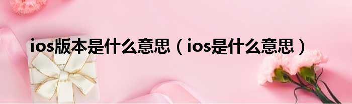 ios版本是什么意思（ios是什么意思）