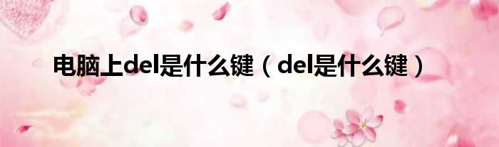 电脑上del是什么键（del是什么键）