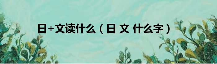 日+文读什么（日 文 什么字）