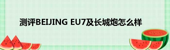 测评BEIJING EU7及长城炮怎么样