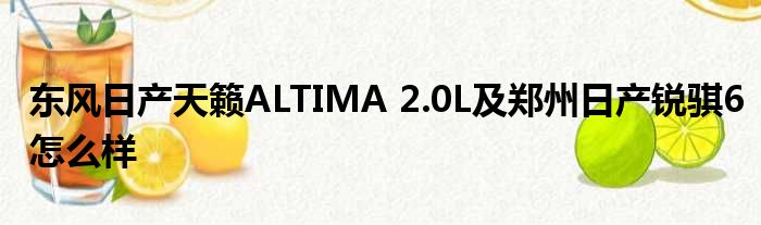 东风日产天籁ALTIMA 2.0L及郑州日产锐骐6怎么样