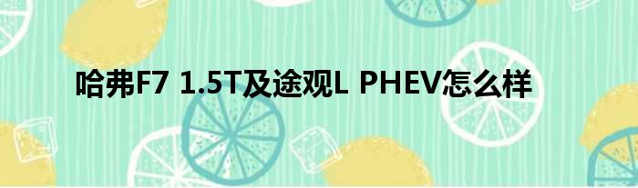 哈弗F7 1.5T及途观L PHEV怎么样