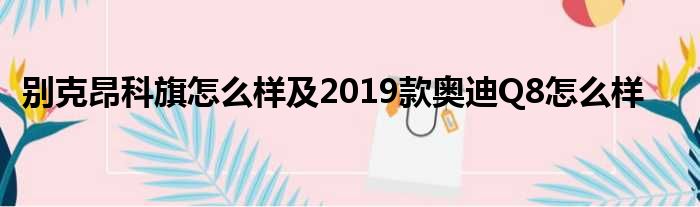 别克昂科旗怎么样及2019款奥迪Q8怎么样