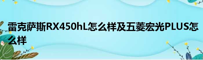 雷克萨斯RX450hL怎么样及五菱宏光PLUS怎么样