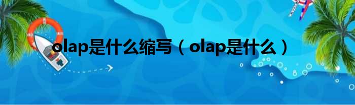 olap是什么缩写（olap是什么）