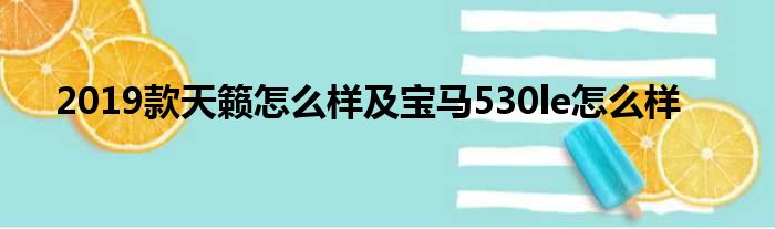 2019款天籁怎么样及宝马530le怎么样