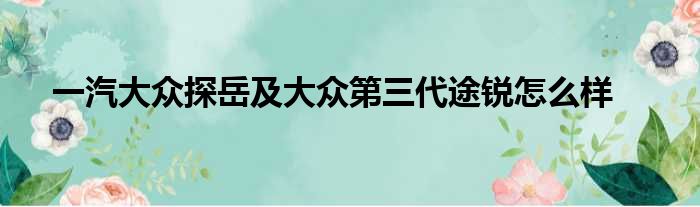 一汽大众探岳及大众第三代途锐怎么样