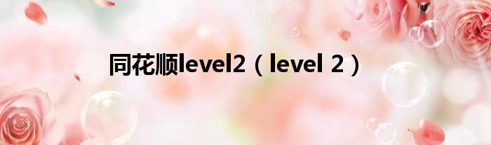 同花顺level2（level 2）