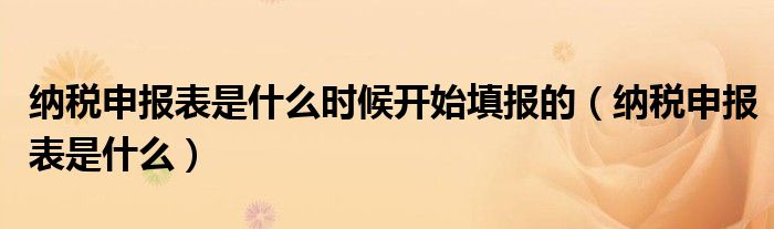 纳税申报表是什么时候开始填报的（纳税申报表是什么）