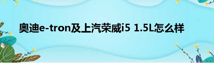 奥迪e-tron及上汽荣威i5 1.5L怎么样