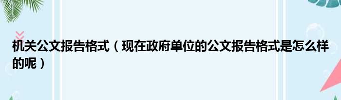 机关公文报告格式（现在政府单位的公文报告格式是怎么样的呢）