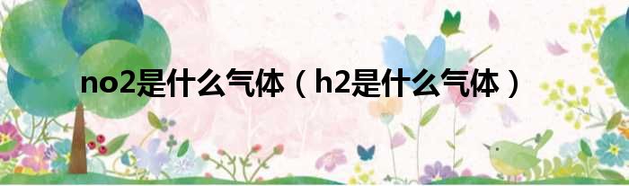 no2是什么气体（h2是什么气体）