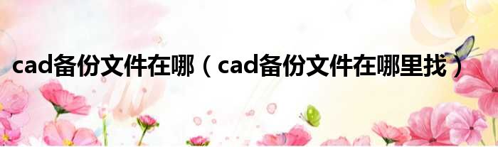 cad备份文件在哪（cad备份文件在哪里找）