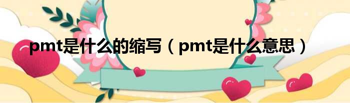 pmt是什么的缩写（pmt是什么意思）