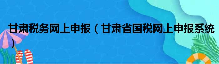 甘肃税务网上申报（甘肃省国税网上申报系统）