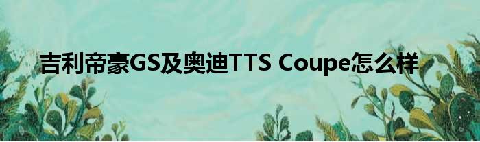 吉利帝豪GS及奥迪TTS Coupe怎么样