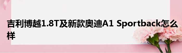 吉利博越1.8T及新款奥迪A1 Sportback怎么样