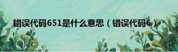 错误代码651是什么意思（错误代码6）