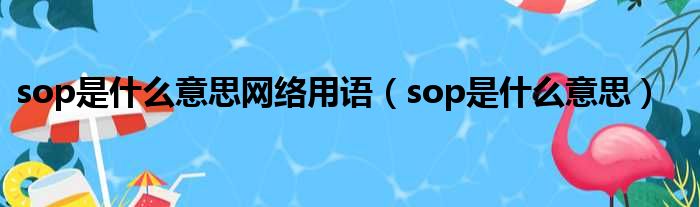 sop是什么意思网络用语（sop是什么意思）