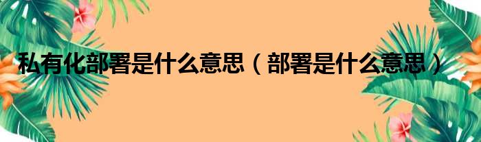 私有化部署是什么意思（部署是什么意思）