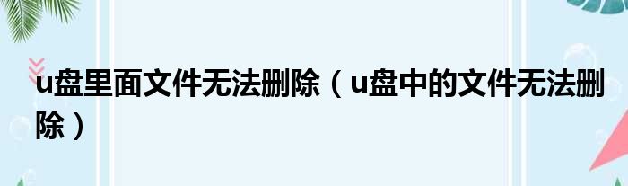 u盘里面文件无法删除（u盘中的文件无法删除）