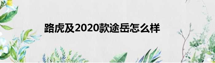 路虎及2020款途岳怎么样