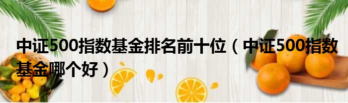 中证500指数基金排名前十位（中证500指数基金哪个好）