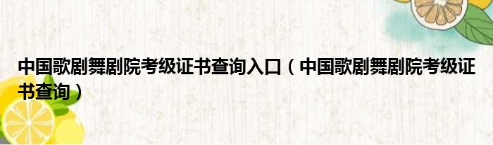 中国歌剧舞剧院考级证书查询入口（中国歌剧舞剧院考级证书查询）