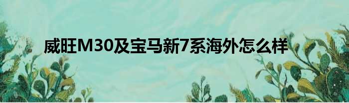 威旺M30及宝马新7系海外怎么样