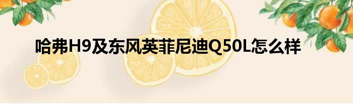 哈弗H9及东风英菲尼迪Q50L怎么样