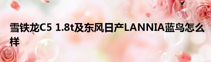 雪铁龙C5 1.8t及东风日产LANNIA蓝鸟怎么样