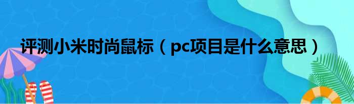 评测小米时尚鼠标（pc项目是什么意思）