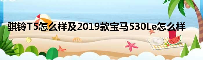 骐铃T5怎么样及2019款宝马530Le怎么样