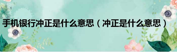 手机银行冲正是什么意思（冲正是什么意思）