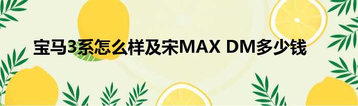 宝马3系怎么样及宋MAX DM多少钱