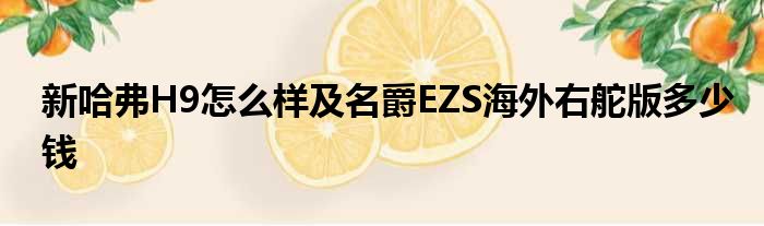 新哈弗H9怎么样及名爵EZS海外右舵版多少钱