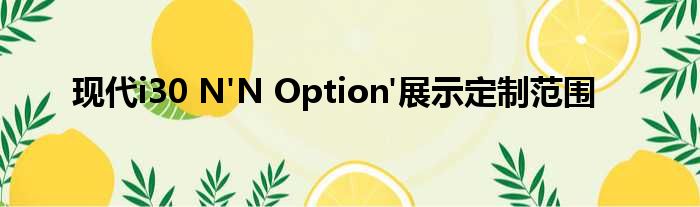 现代i30 N'N Option'展示定制范围