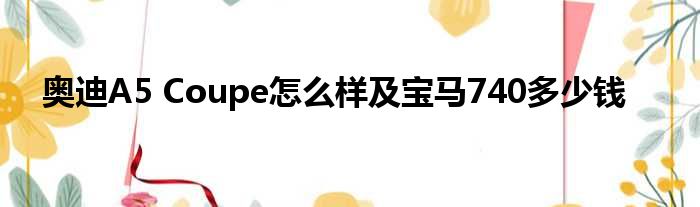 奥迪A5 Coupe怎么样及宝马740多少钱